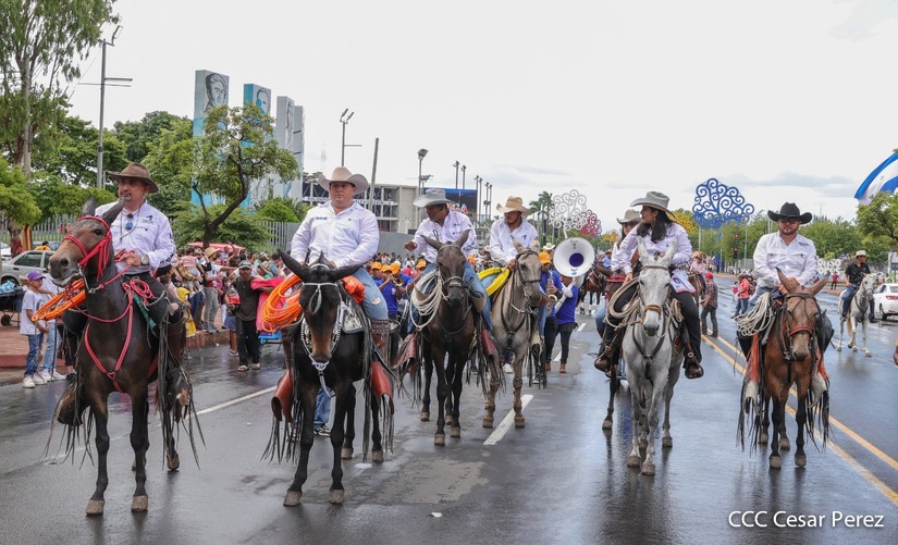HIPICO